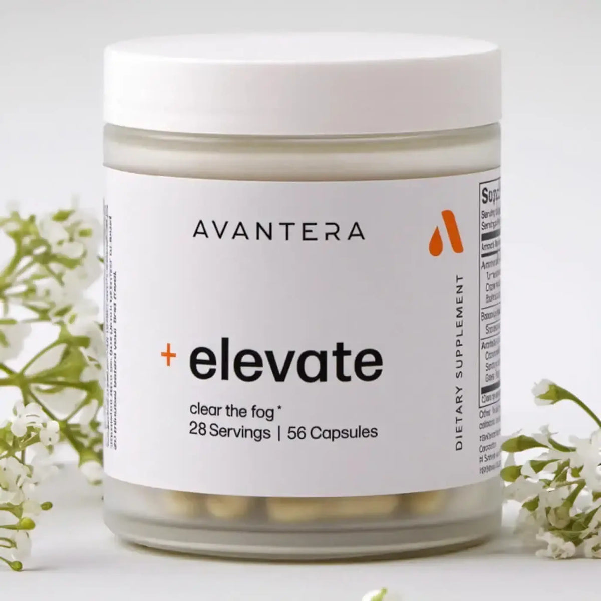 elevate Premium Nootropic 2 pack